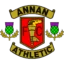 Annan Athletic badge
