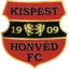 Budapest Honvéd badge