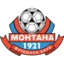 Montana badge