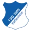 Hoffenheim badge