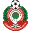 Campbelltown City badge