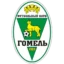 Gomel badge