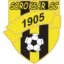 Soroksár badge