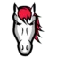 Leicester Riders badge