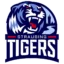 Straubing Tigers badge