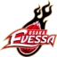 Osaka Evessa badge