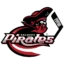 Aalborg Pirates badge