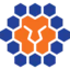 Melbourne City badge