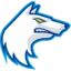 Finland Basketball badge