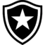 Botafogo badge