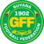 Guyana badge