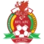 Briton Ferry Llansawel badge