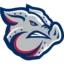 Lehigh Valley IronPigs badge