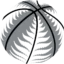 New Zealand Basketball badge