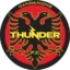 Dandenong Thunder badge