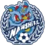 Foshan Nanshi badge