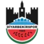 Diyarbekirspor badge