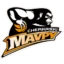 Cherkaski Mavpy badge