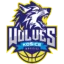 Košice Wolves badge