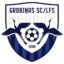 Grobiņas badge