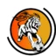 Hapoel Kfar Shalem badge