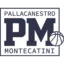 Montecatini badge