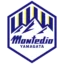 Montedio Yamagata badge