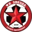 Zvezda Saint Petersburg badge