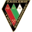 Zagłębie Sosnowiec badge