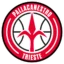 Pallacanestro Trieste badge