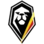 Belgium Basketball badge