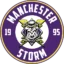 Manchester Storm badge