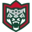 Ak Bars Kazan badge