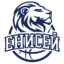 BC Enisey badge