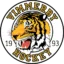 Vimmerby badge