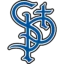 St. Paul Saints badge
