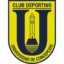 Universidad de Concepción badge