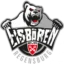 Eisbären Regensburg badge