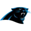 Carolina Panthers badge