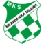 Mławianka Mława badge