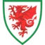 Wales U19 badge