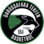 Darüşşafaka SK badge