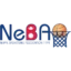 Nepal Basketball badge