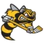 Sarnia Sting badge