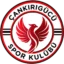 Çankırıgücü badge