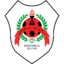 Al-Rayyan badge