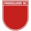 Paraguarí badge