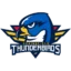 Springfield Thunderbirds badge