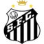 Santos badge