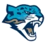 Barys Nur-Sultan badge